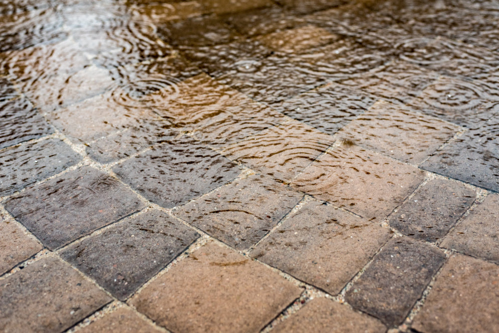 Can I Seal If My Pavers or Travertine Stones Are Wet?