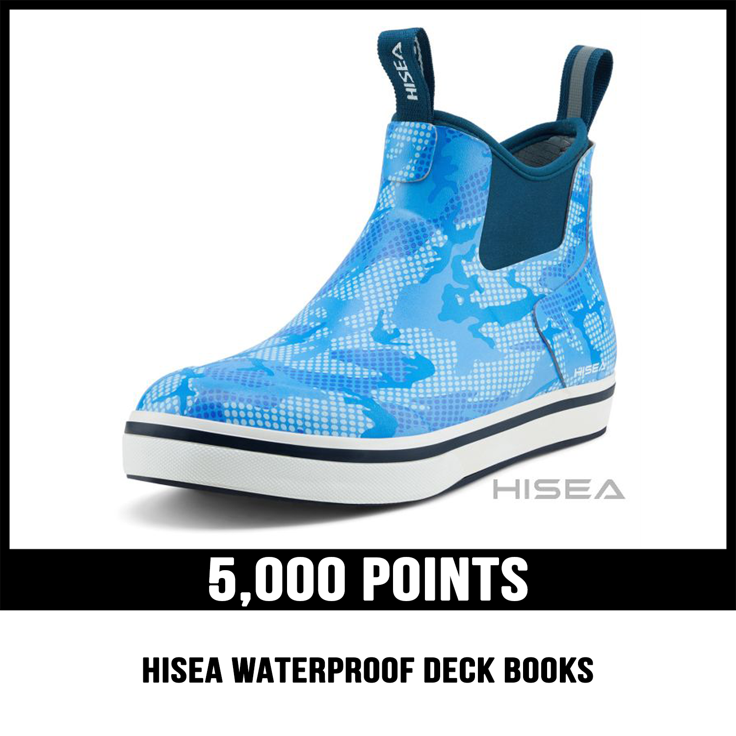 Hisea Prize